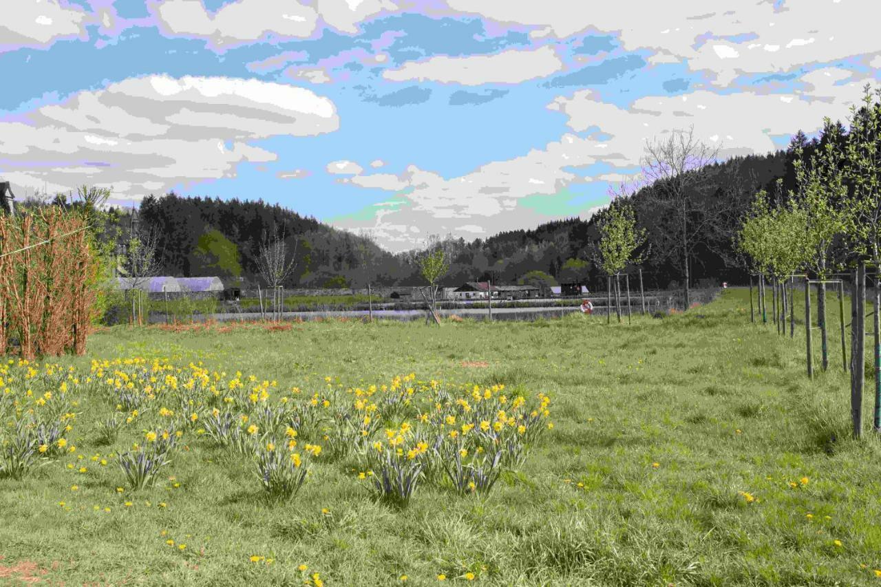Großlittgen Ferienhaus Salmtal Himmerod מראה חיצוני תמונה