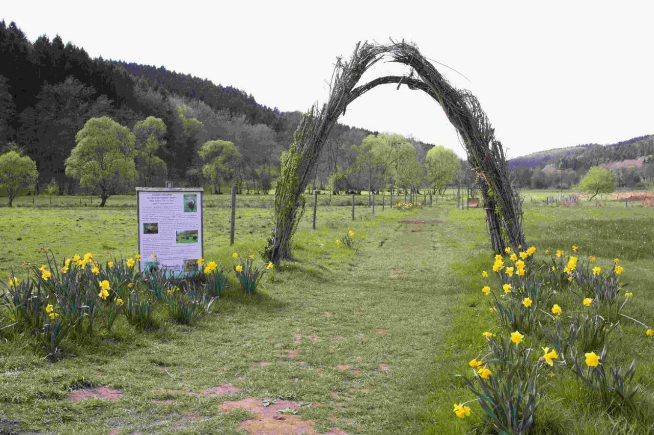 Großlittgen Ferienhaus Salmtal Himmerod מראה חיצוני תמונה
