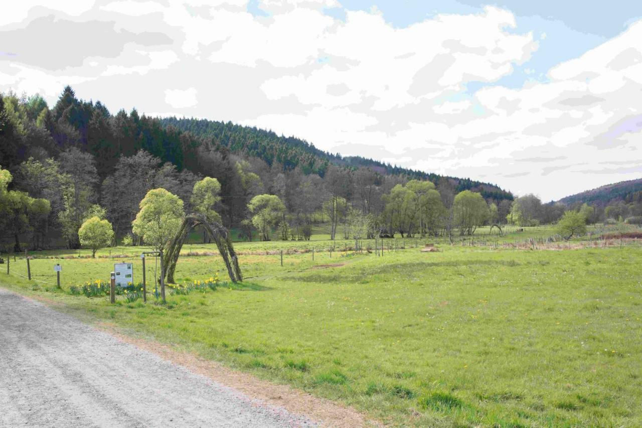 Großlittgen Ferienhaus Salmtal Himmerod מראה חיצוני תמונה